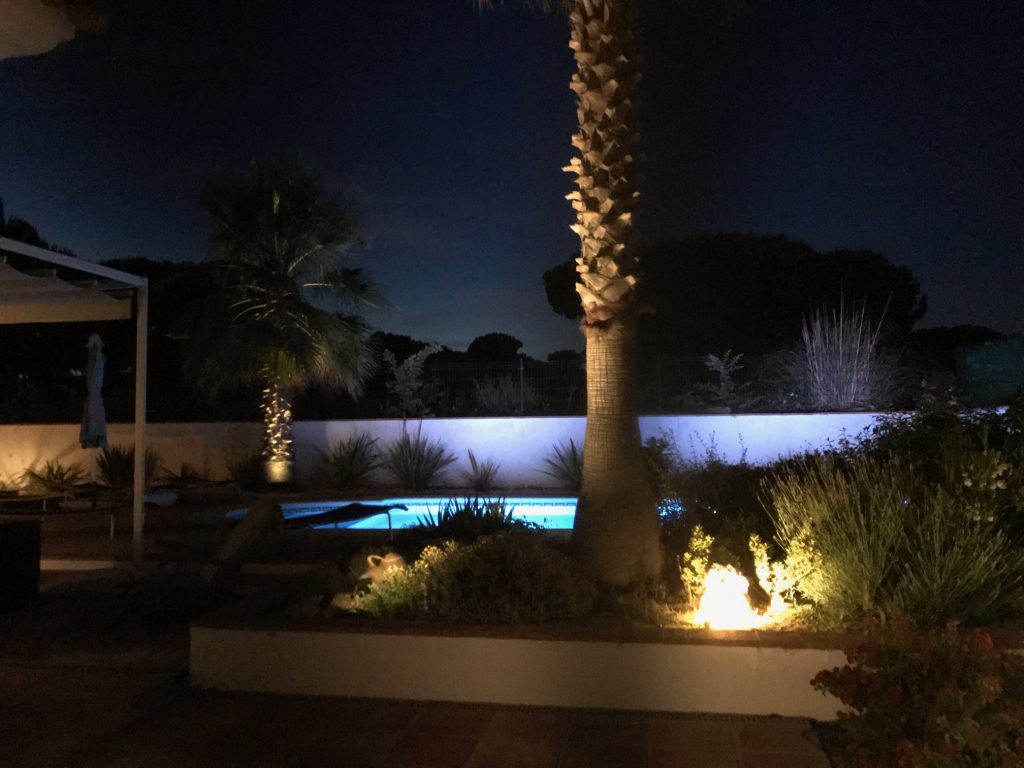 Garden & pool at night