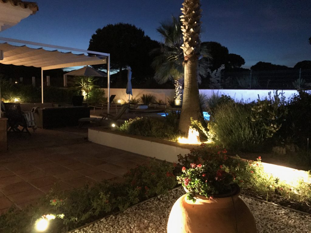 Garden at night